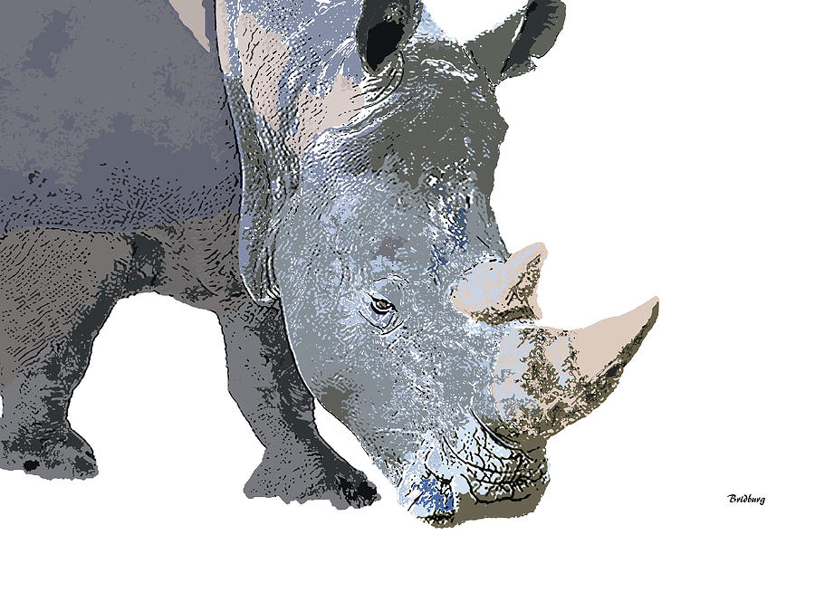Rhino Digital Art - Music Notes 24 by David Bridburg