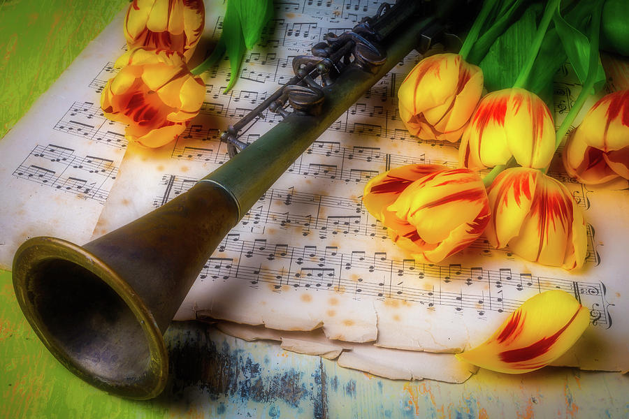 Music Still Life Photograph by Garry Gay