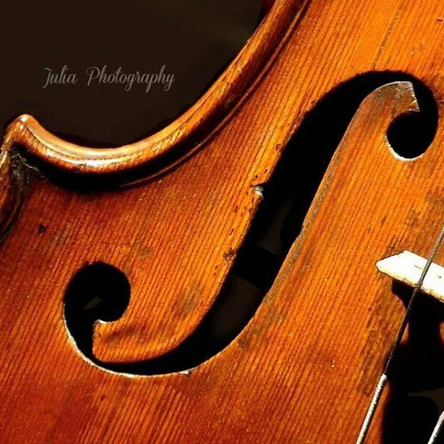 Barcelona Photograph - #music #violin #instrument #classic by Giulia Veneziano