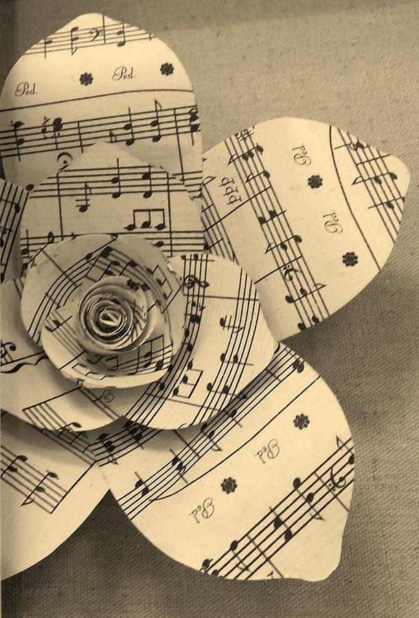 Musical Bloom Sepia Photograph by Rob Hans