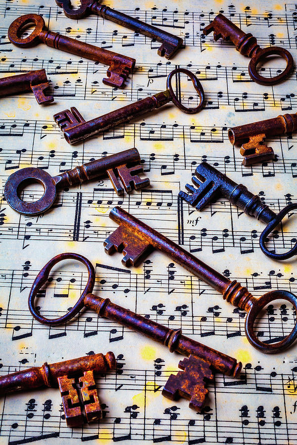 Musical Keys Photograph by Garry Gay