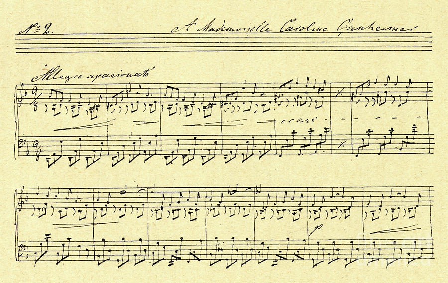 Musical Score Russian composer and pianist, Anton Rubinstein Drawing by Anton Rubinstein