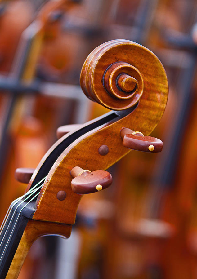 Musical Spiral Photograph by David Freuthal