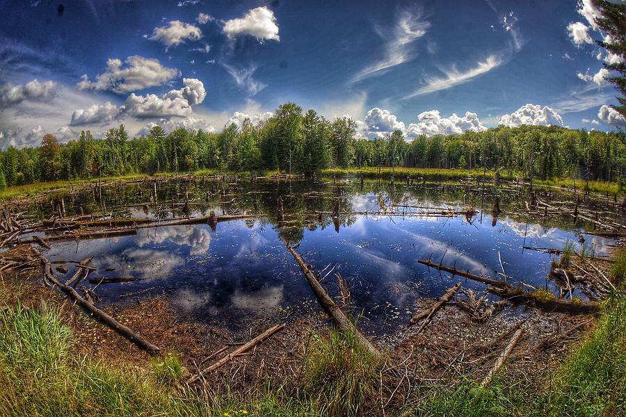 Muskoka beaver pond Photograph by Lliem Seven - Fine Art America