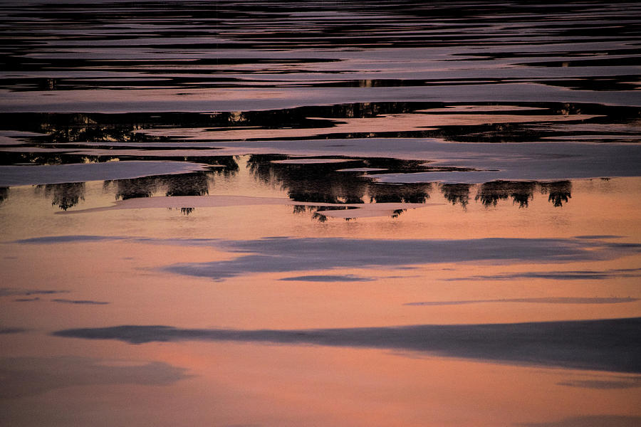 Muskoka Reflections Photograph by Tim Beebe