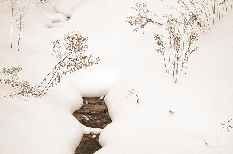 Muskoka Winter 2 Photograph by Kathi Shotwell