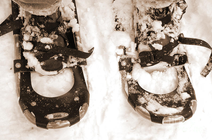 Muskoka Winter 4 - Canadian Dancing Shoes Photograph by Kathi Shotwell