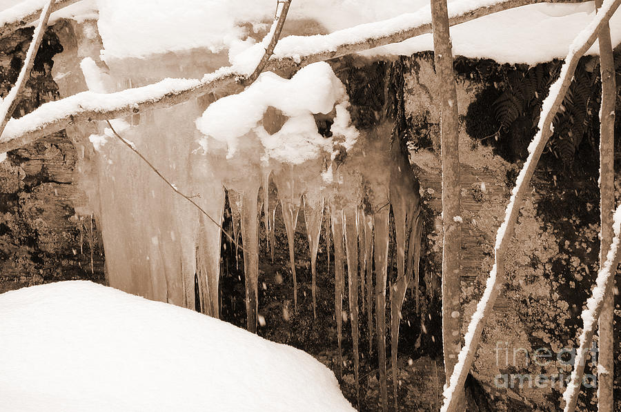 Muskoka Winter 5 Photograph by Kathi Shotwell