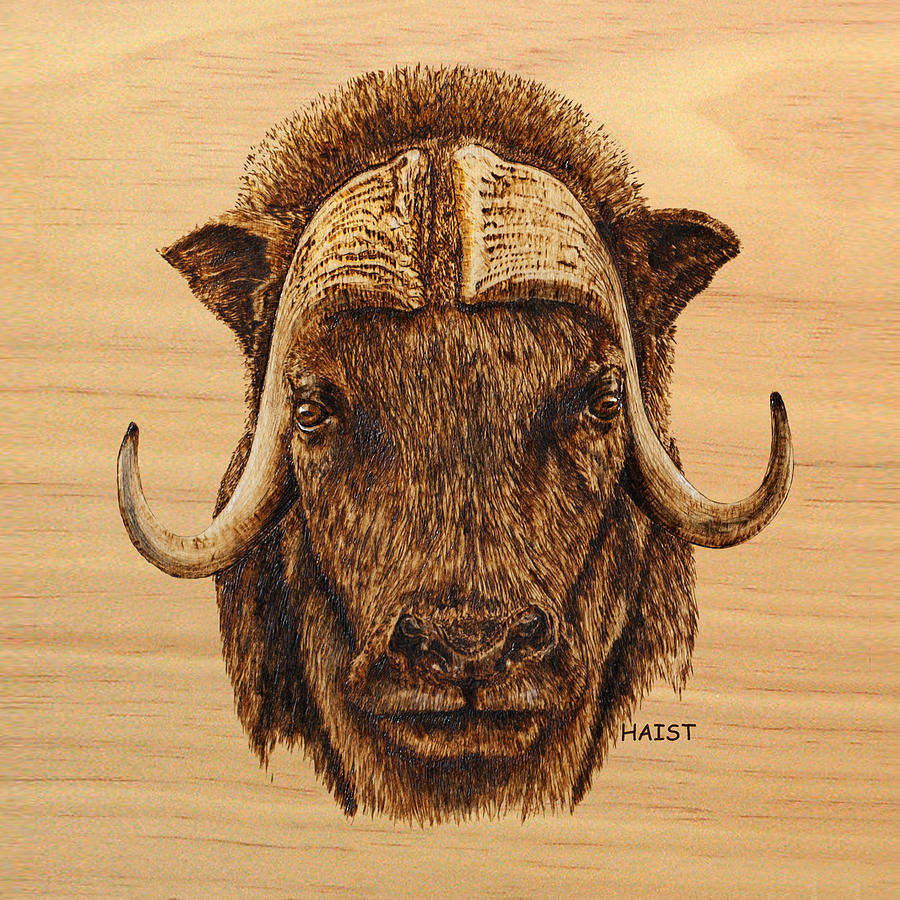 Muskox Pillow/bag Pyrography by Ron Haist