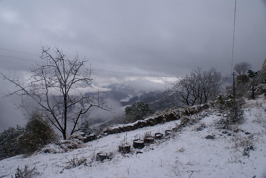 Mussoorie winter - 2 Photograph by Padamvir Singh