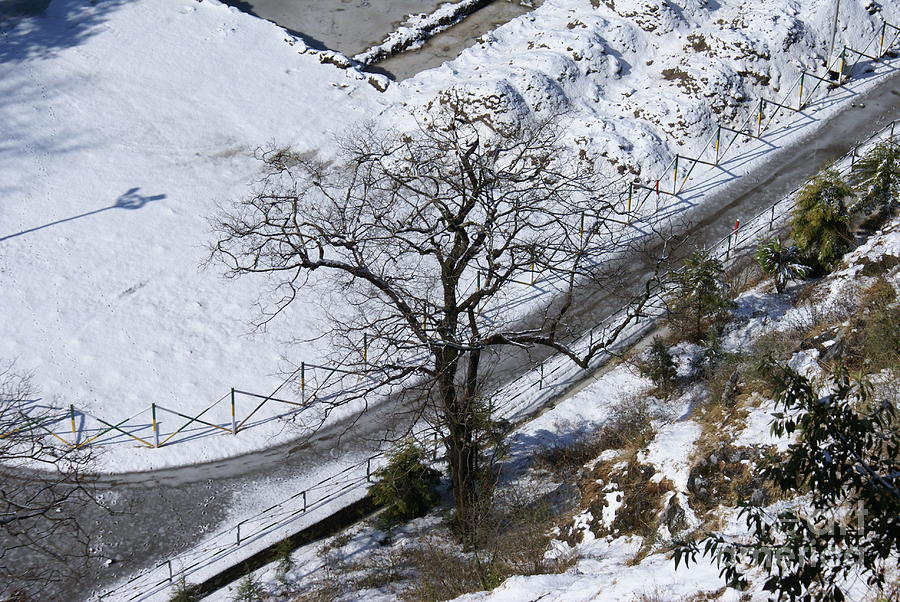 Mussoorie Winter 2011 Photograph by Padamvir Singh