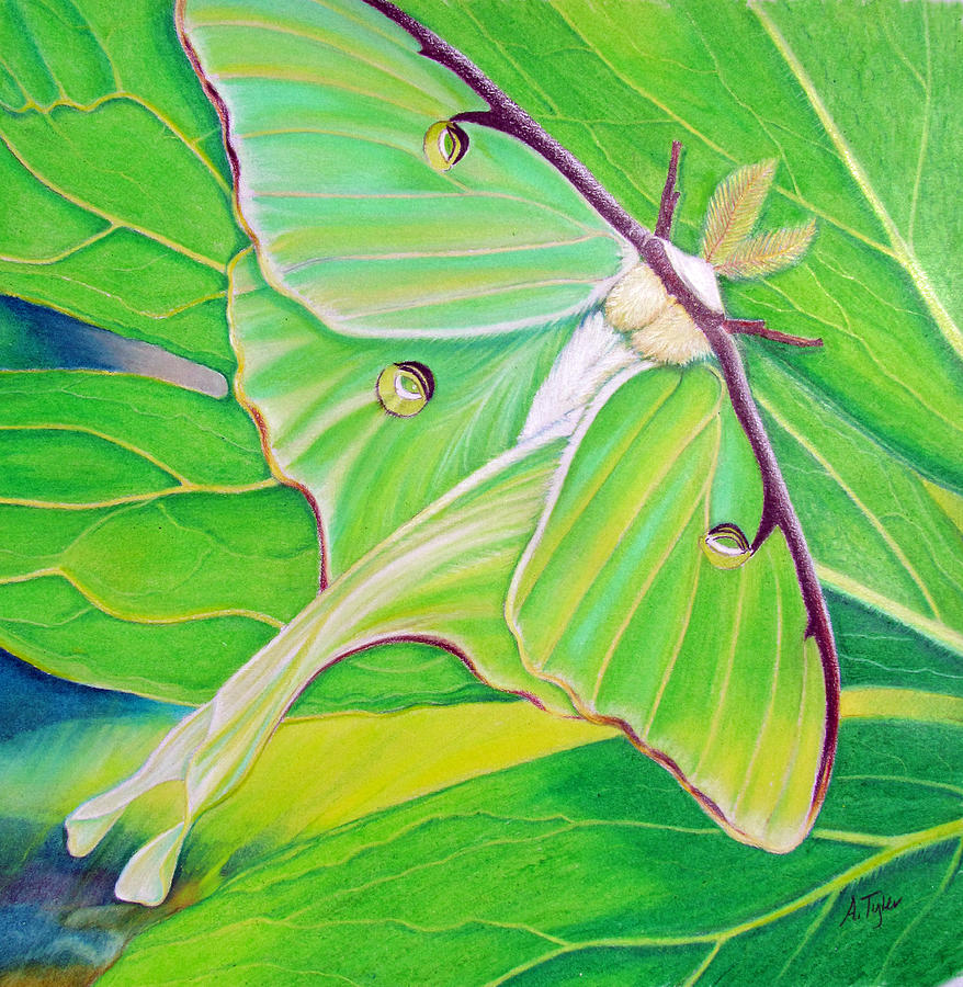Nature Painting - Must Be Dreaming by Amy Tyler