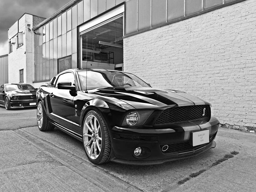 Cobra Photograph - Mustang Alley in Black and White by Gill Billington
