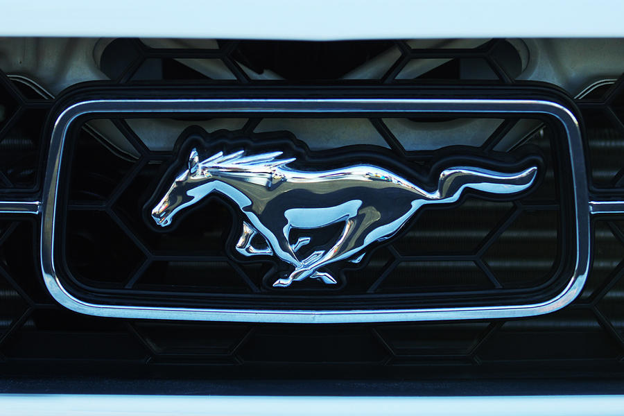Mustang Emblem Photograph by Jill Reger