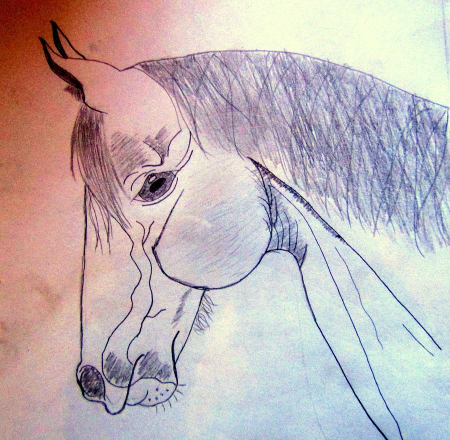 Mustang Fine Folk Art Drawing By Sabrina Mejias Pixels 