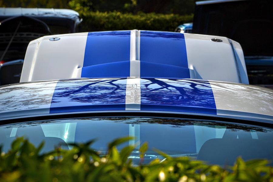 Mustang GT 350 Stripes Photograph by Dean Ferreira