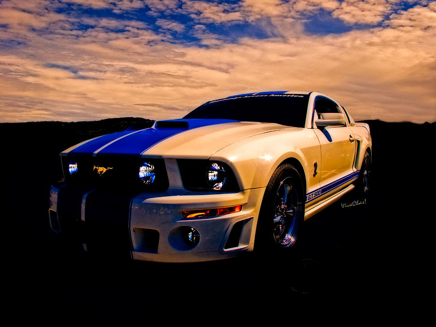 Mustang Photograph - Ford Mustang GT 500 by Chas Sinklier.