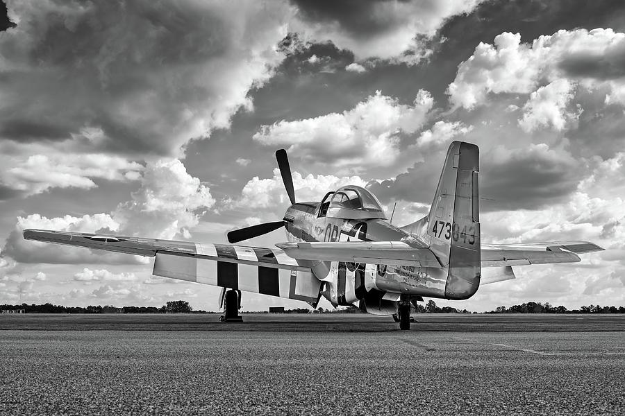 Mustang in Black and White Photograph by Chris Buff