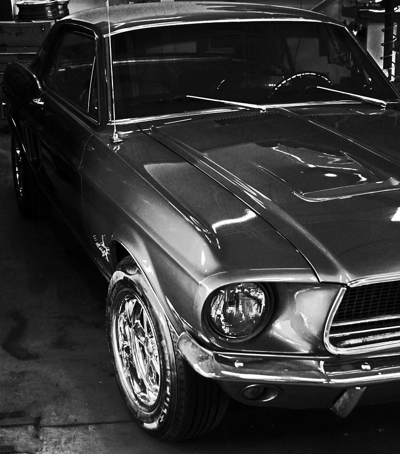 Mustang in Black and white Photograph by John Stuart Webbstock
