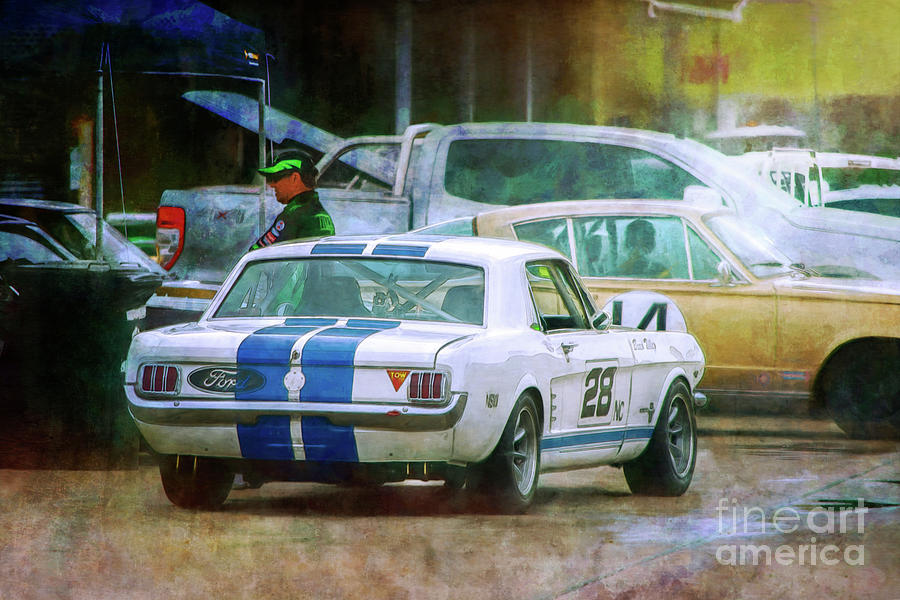 Mustang in the Paddock Photograph by Stuart Row
