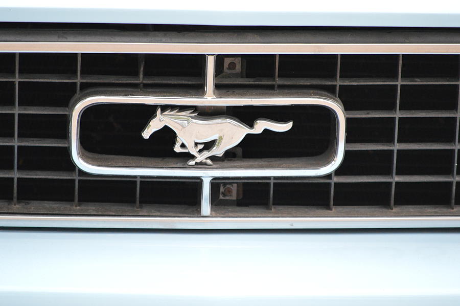 Mustang Logo Photograph by Bonfire Photography