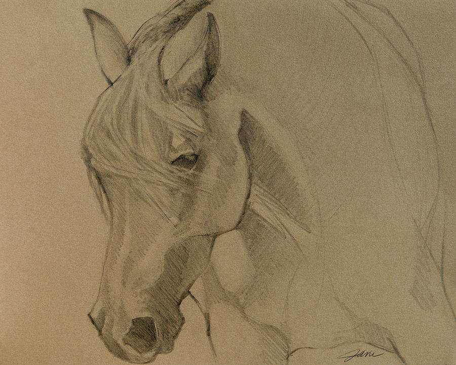 Mustang Morning - Grey Version Drawing by Jani Freimann
