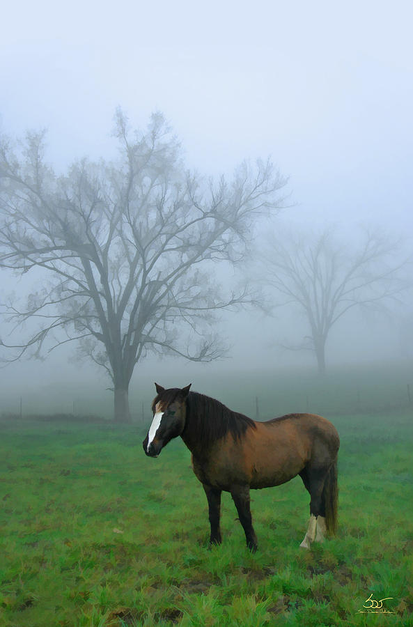 Mustang Morning Photograph by Sam Davis Johnson
