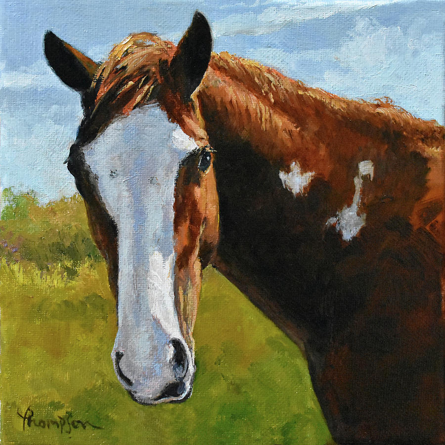 Animal Painting - Mustang Mugshot by Tracie Thompson