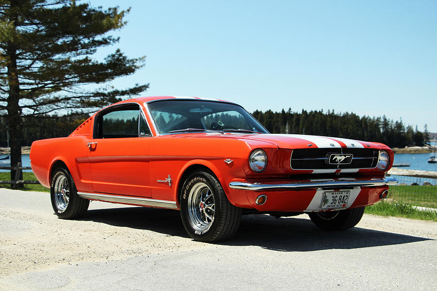 Car Photograph - Mustang on the Coast by Shelby Pratt