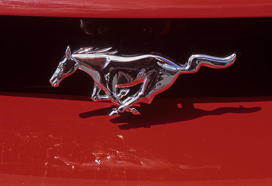 Mustang Powered Photograph by Doug Davidson