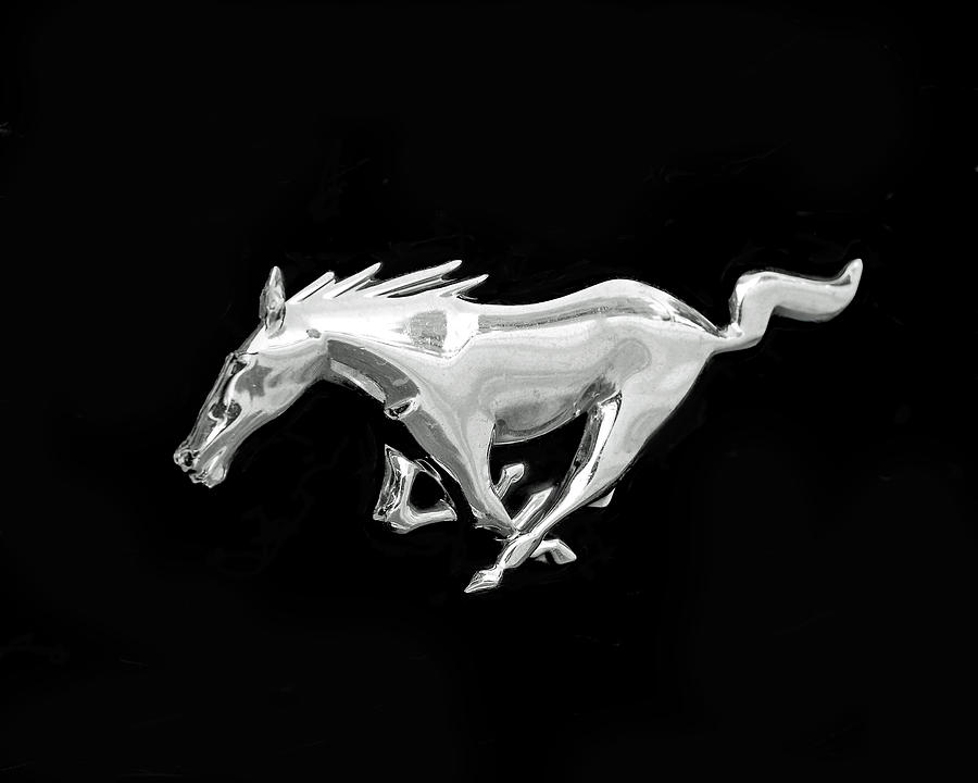 Black And White Photograph - Mustang by Rona Black