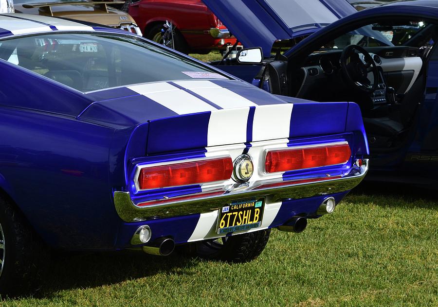Mustang Shelby Photograph by Dean Ferreira