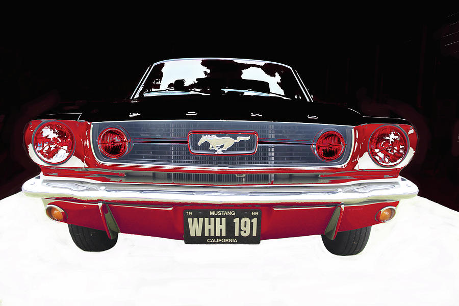 Mustang Photograph by Tom Conway