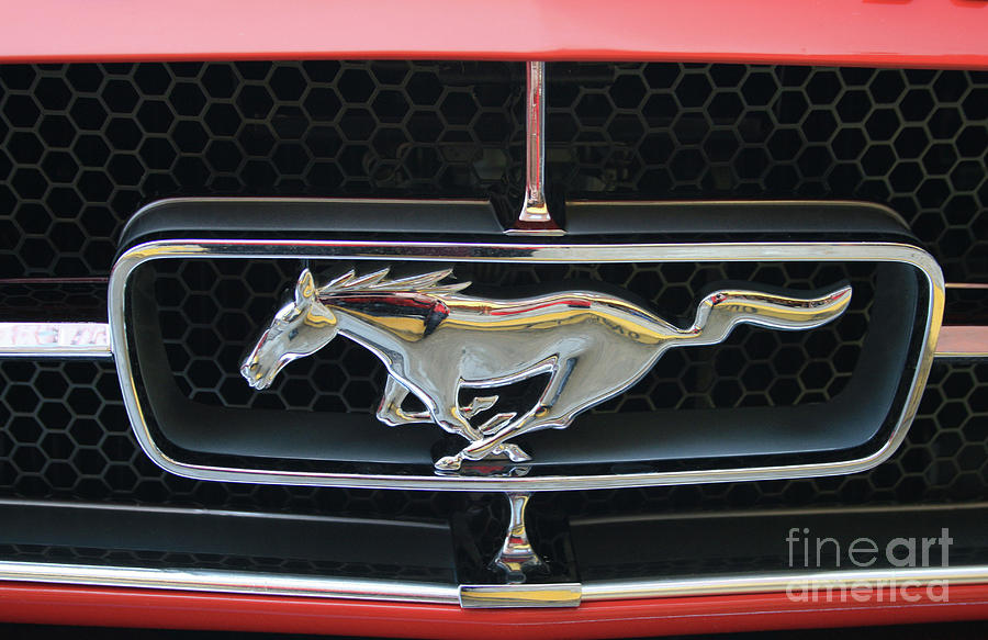 Mustang Photograph by Tony Baca