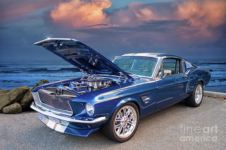 Mustang with 6-pack Photograph by Randy Harris