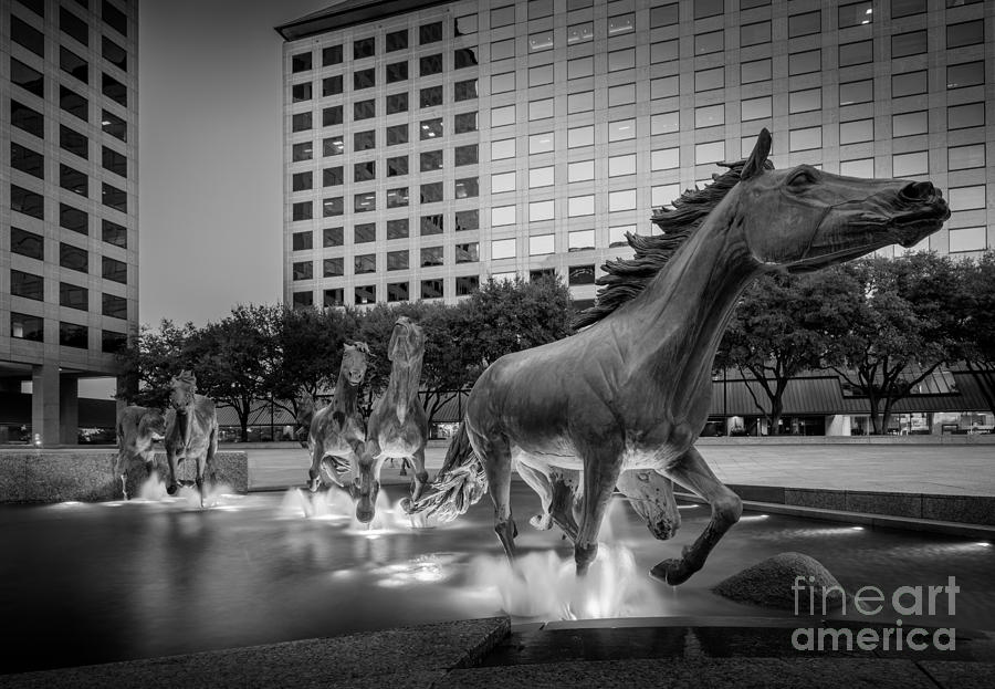 Mustangs at Las Colinas Photograph by Inge Johnsson