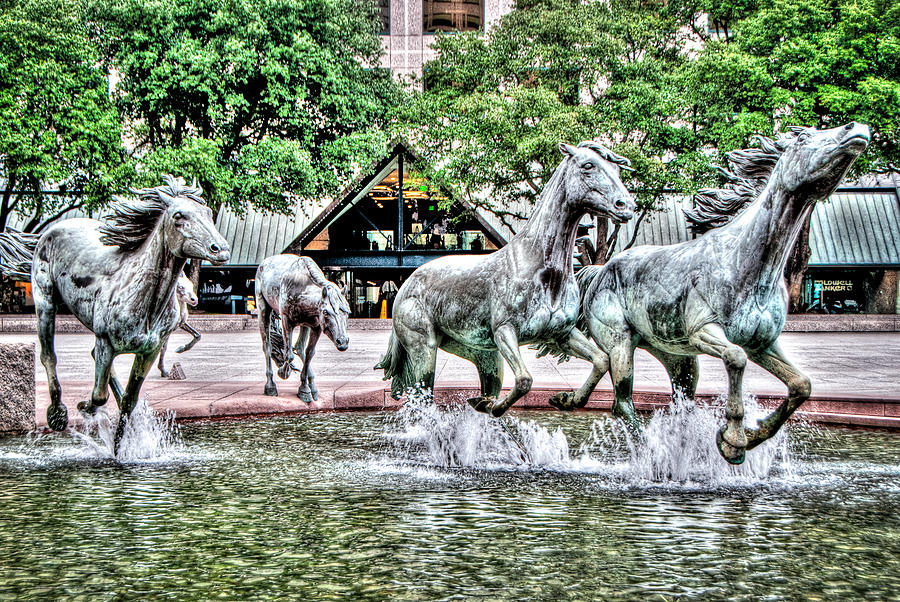 Mustangs of Las Colinas Photograph by Gray Photography - Fine Art America