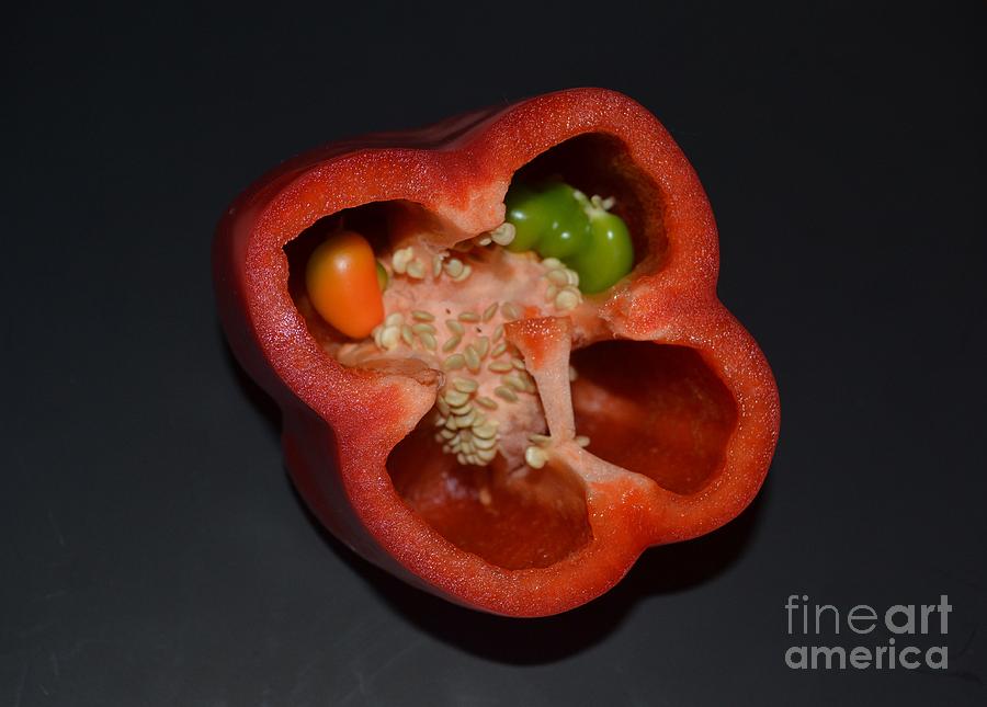 Mutant Pepper Photograph by Melvin Turner