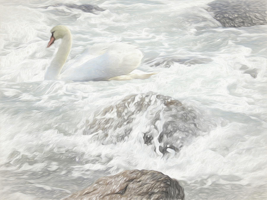 Cygnus Olor Digital Art - Mute swan in ocean surf. by Rusty R Smith
