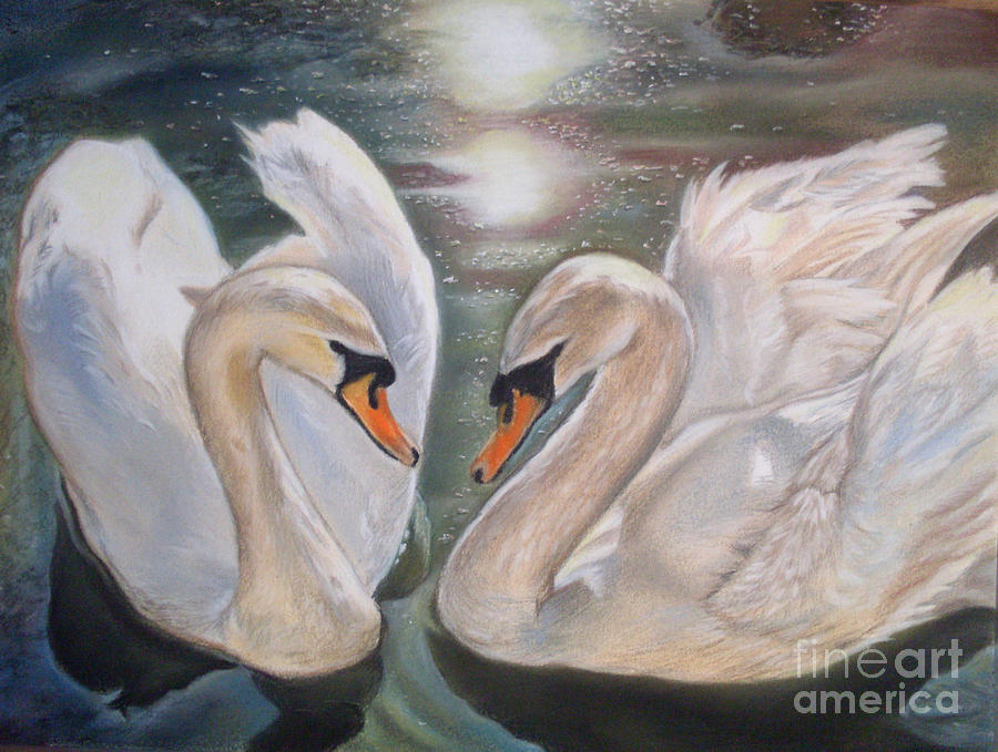 Swan Painting - Mute Swans - River Severn by Irisha Golovnina