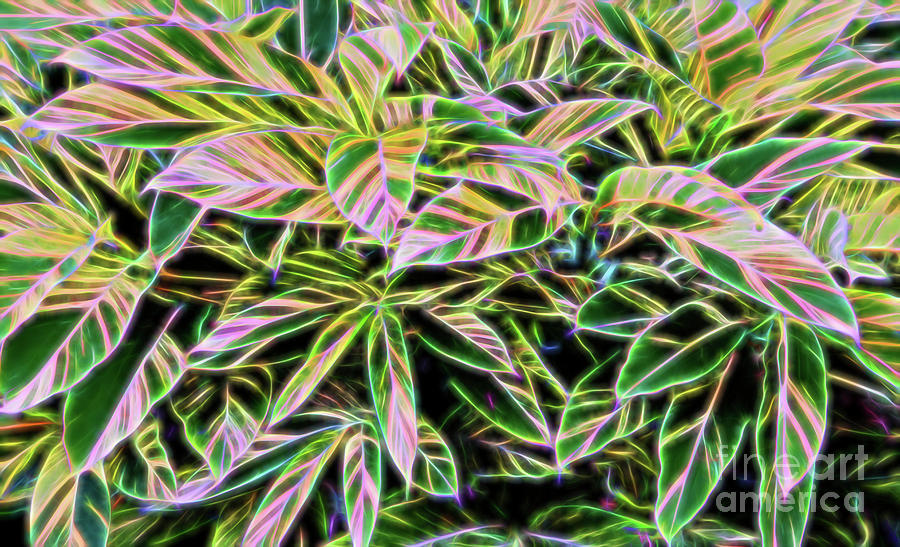 Muted Variegated Leaves Photograph by Linda Phelps