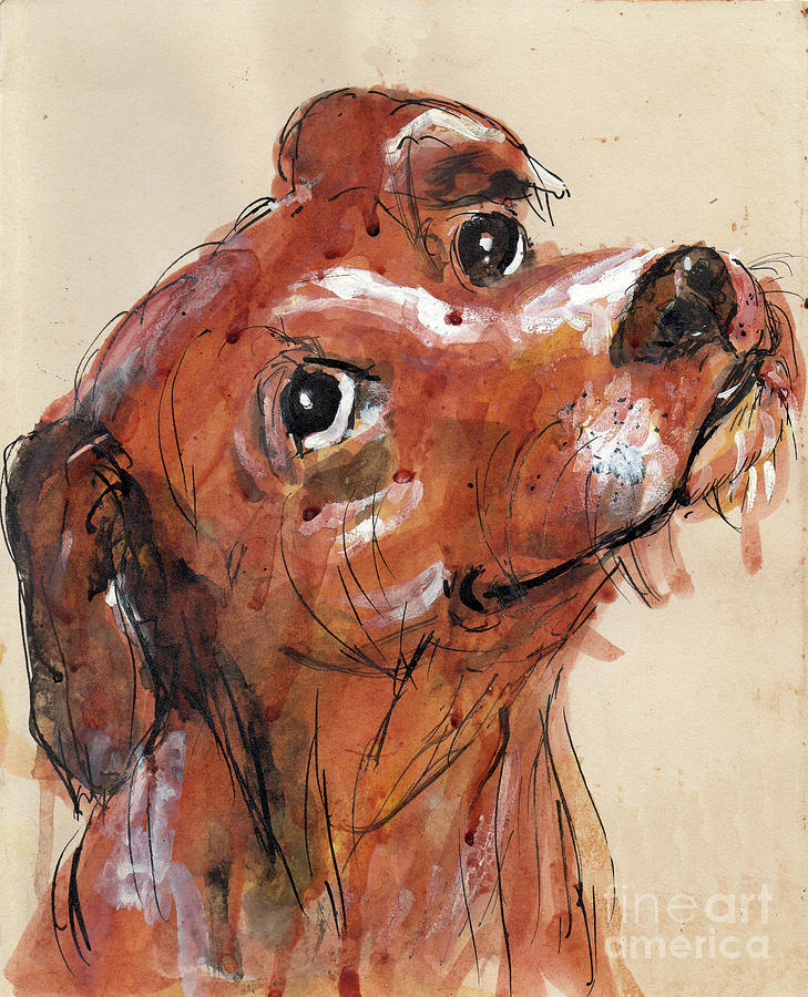 Animal Painting - Mutt by Doris Blessington
