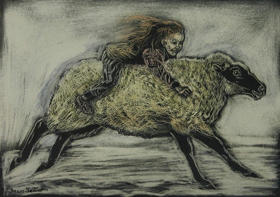 Sheep Drawing - Mutton Buster by Dawn Senior-Trask
