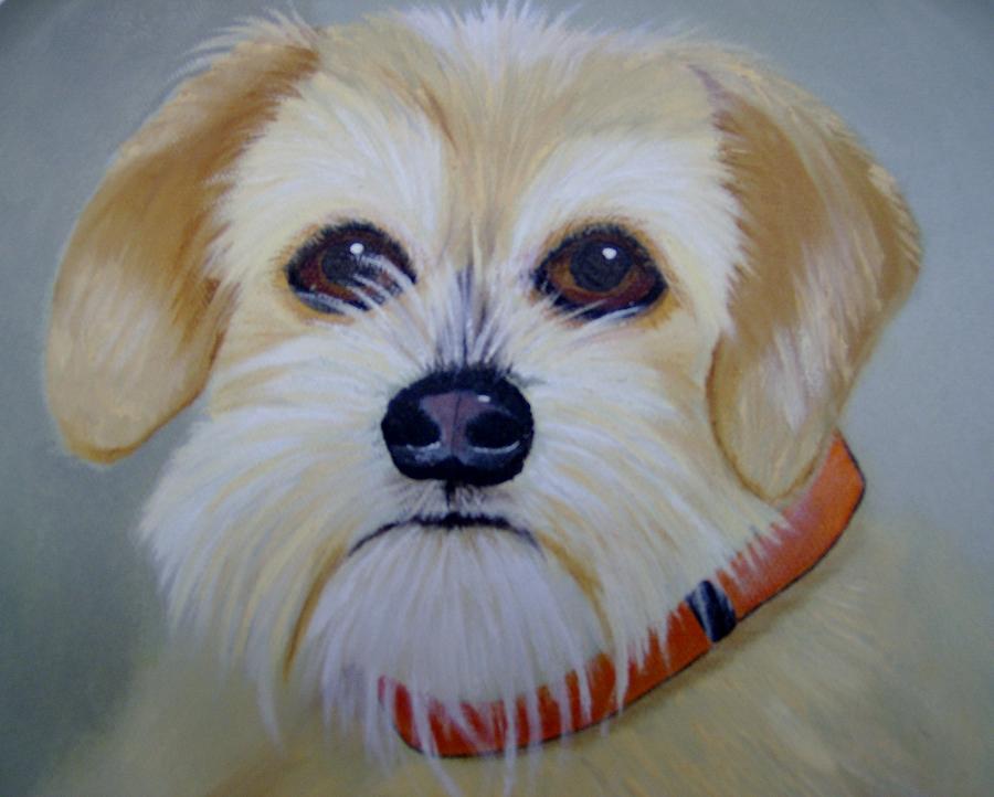 Muttonchop the Terrier Mix Painting by Debra Campbell