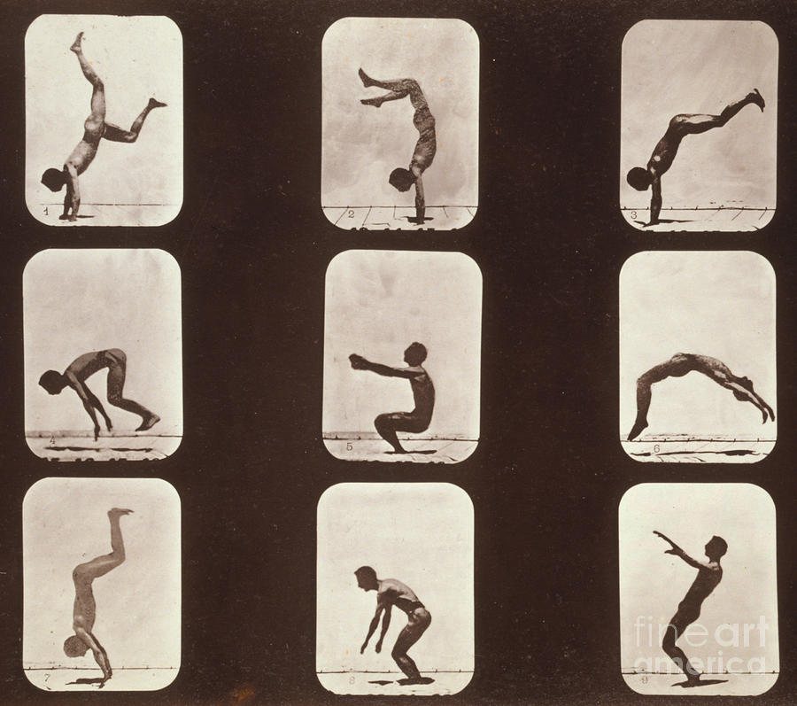 Muybridge Locomotion Back Hand Spring Photograph by Photo Researchers