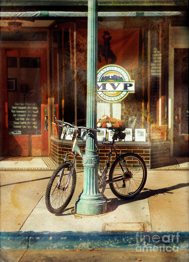MVP Laramie Bicycle Photograph by Craig J Satterlee