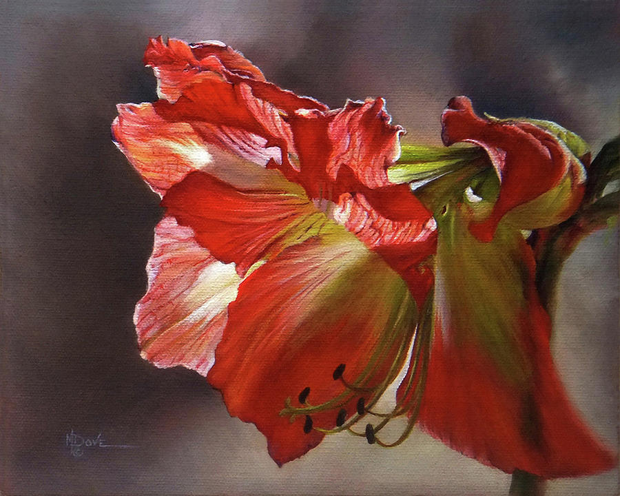 My Amaryllis Coming Out of Shadows #2 Painting by Mary Dove