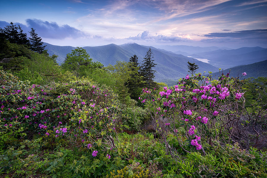 Blue Ridge Parkway - My Appalachia Photograph by Jason Penland - Fine ...