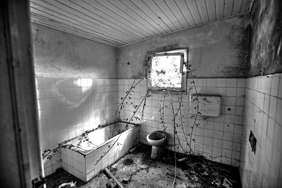 My Bathroom Photograph by Joseph Amaral