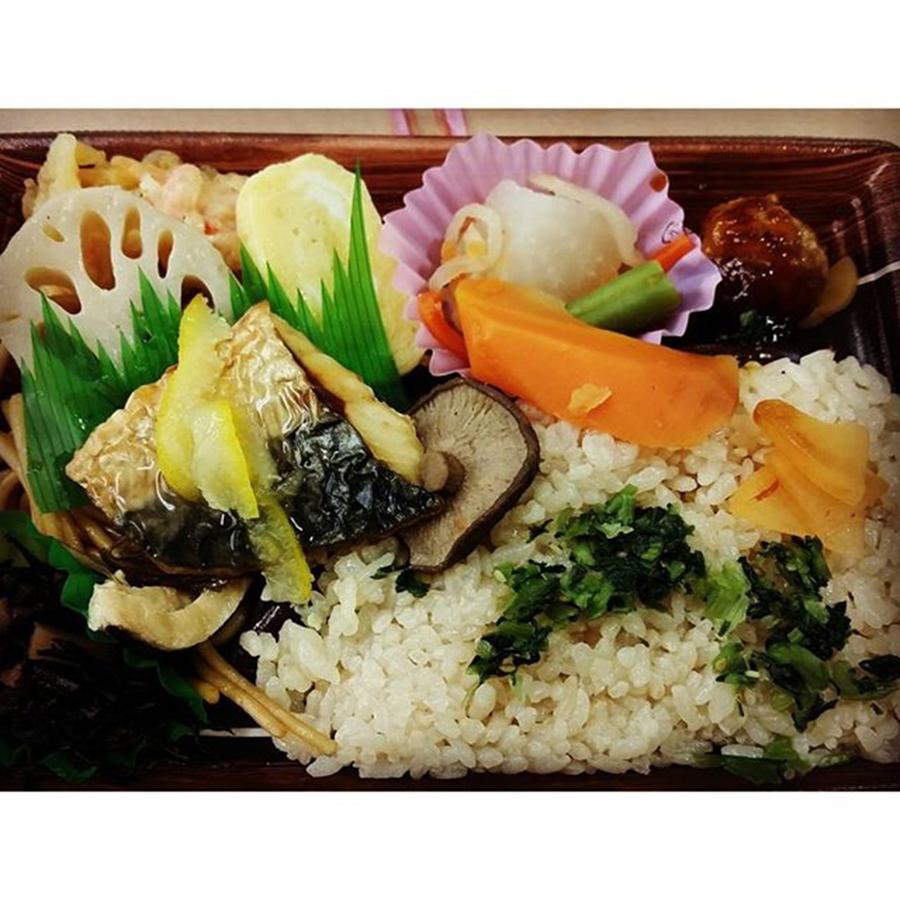 Gourmet Photograph - My Bento Lunch Box by Lady Pumpkin
